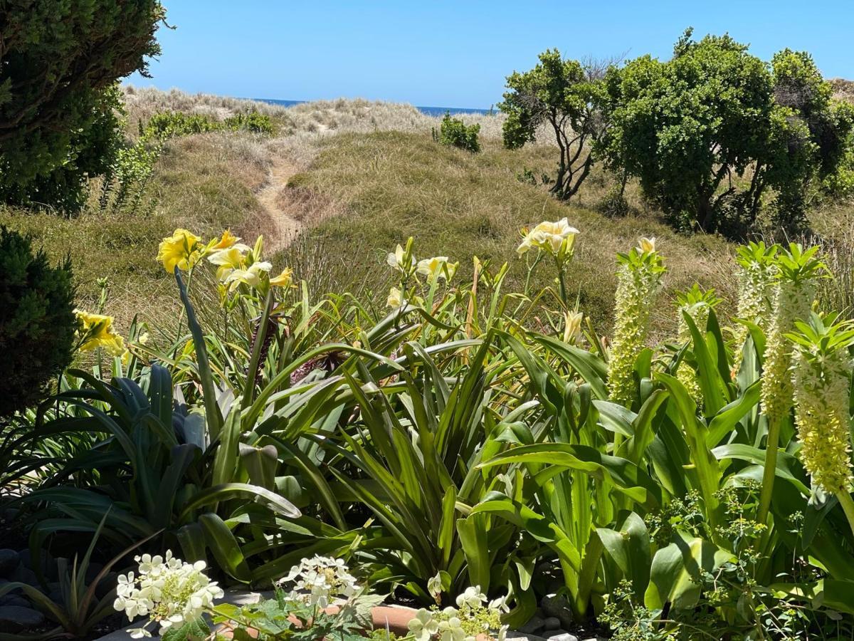 Absolute Beach Mount Maunganui Ngoại thất bức ảnh